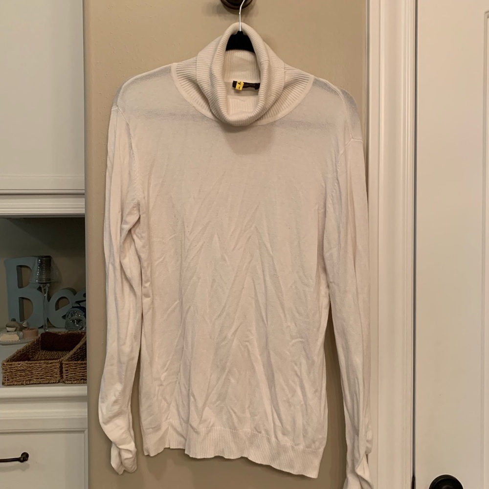 The Limited Turtleneck Sweater